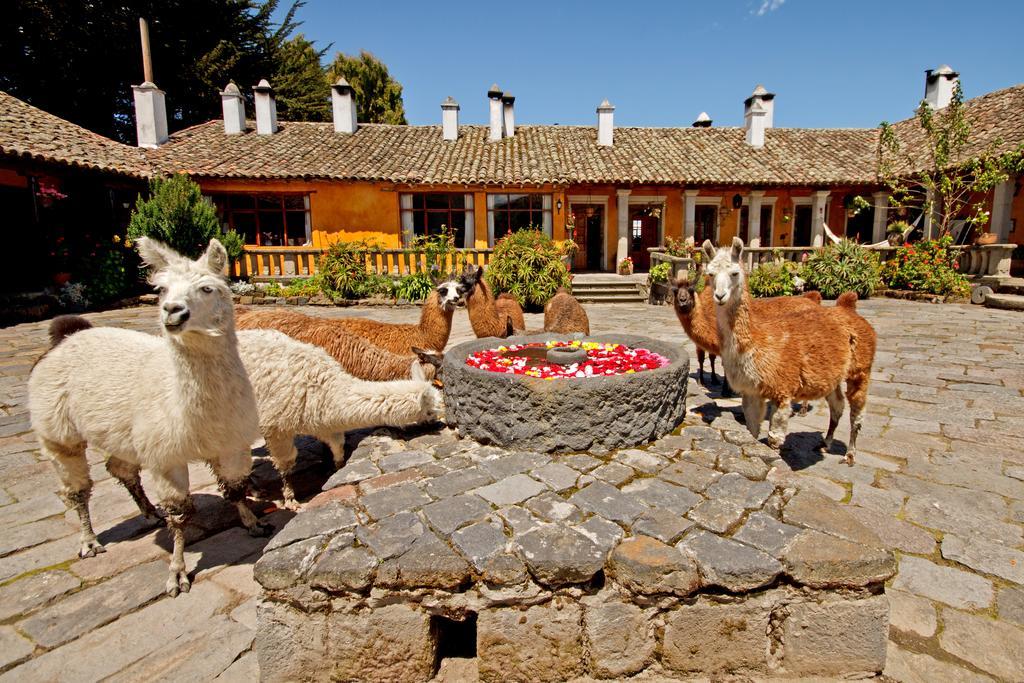 Hacienda San Agustin De Callo Lasso Dış mekan fotoğraf