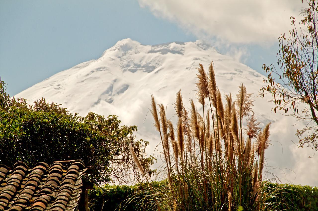 Hacienda San Agustin De Callo Lasso Dış mekan fotoğraf